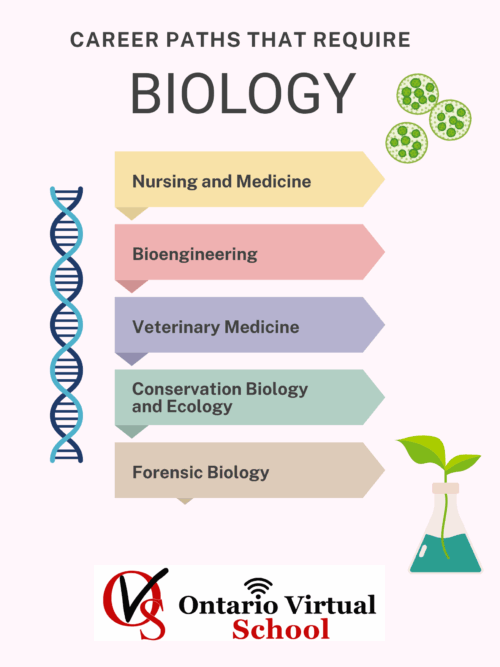 Career Paths for Biology
