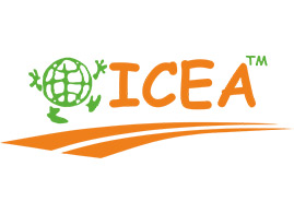 International Cultural Educational Agency