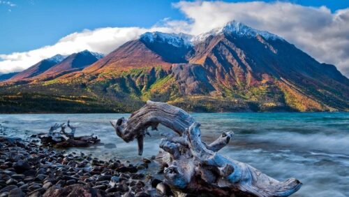 Yukon Landscape