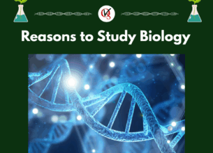 Reasons to Study Biology