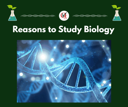 Reasons to Study Biology