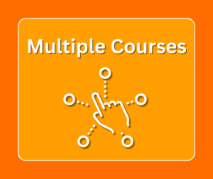 Summer School Blog - Multiple Courses