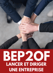 Grade 10 Lancer et diriger une entreprise image 