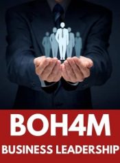 Grade 12 Business Leadership (Upgrade) image 