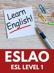 Level 1 English as a Second Language. image 