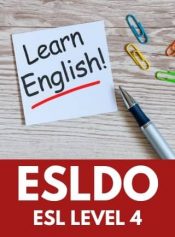 Level 4 English as a Second Language image 