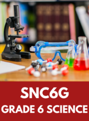 Grade 6 Science image