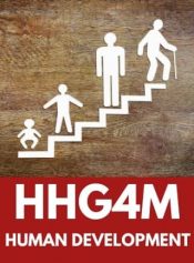 Grade 12 Human Growth and Development throughout the Lifespan image 