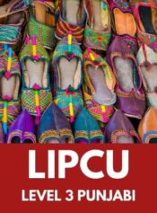 Grade 11 Punjabi image 