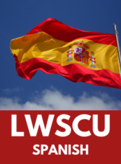 Grade 11 Spanish image 