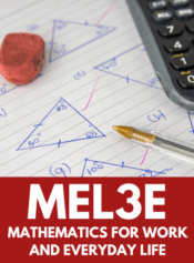 Grade 11 Mathematics for Work and Everyday Life image