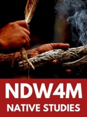 Grade 12 Indigenous Issues image 