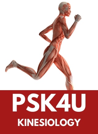PSK4U | Grade 12 Kinesiology | Online Course | OVS