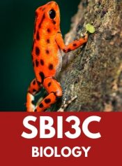 Grade 11 Biology (Upgrade) image 