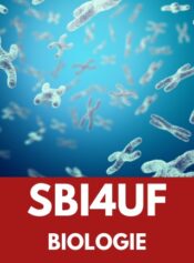 Biologie, 12e année image 