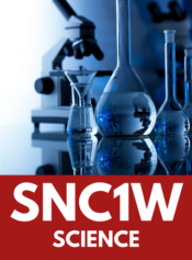 Grade 9 De-streamed Science image 