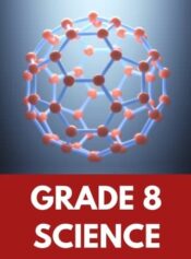 Grade 8 Science image 