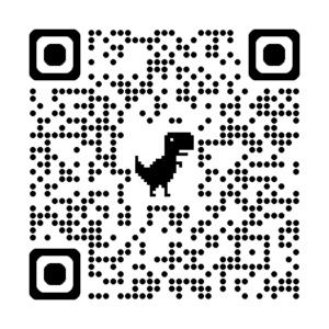 OVS Instagram QR Code